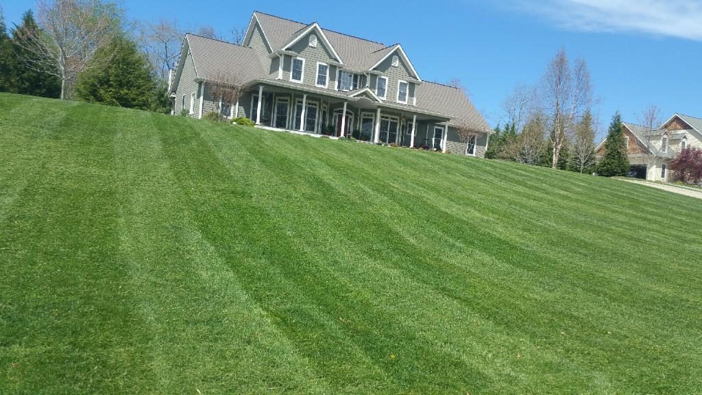 Lawn Care & Maintenance Services