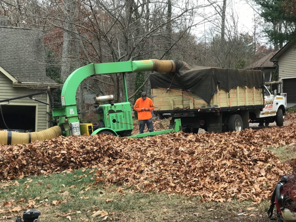 Asheville Leaf Removal